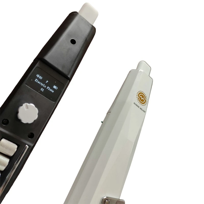 electronic woodwind instrument